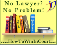 No Lawyer? No Problem! How to win in court.